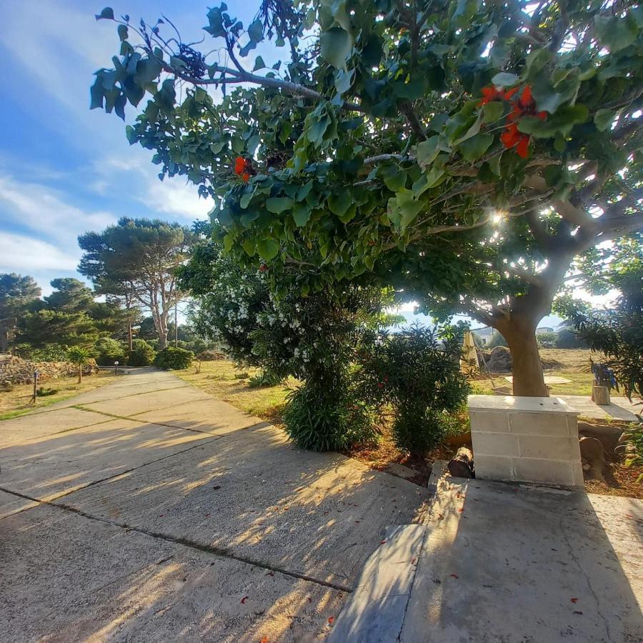 Sogni Nel Blu Favignana Villa Buitenkant foto