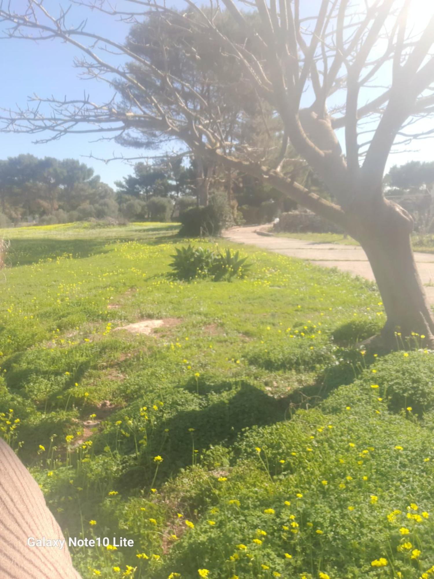 Sogni Nel Blu Favignana Villa Buitenkant foto