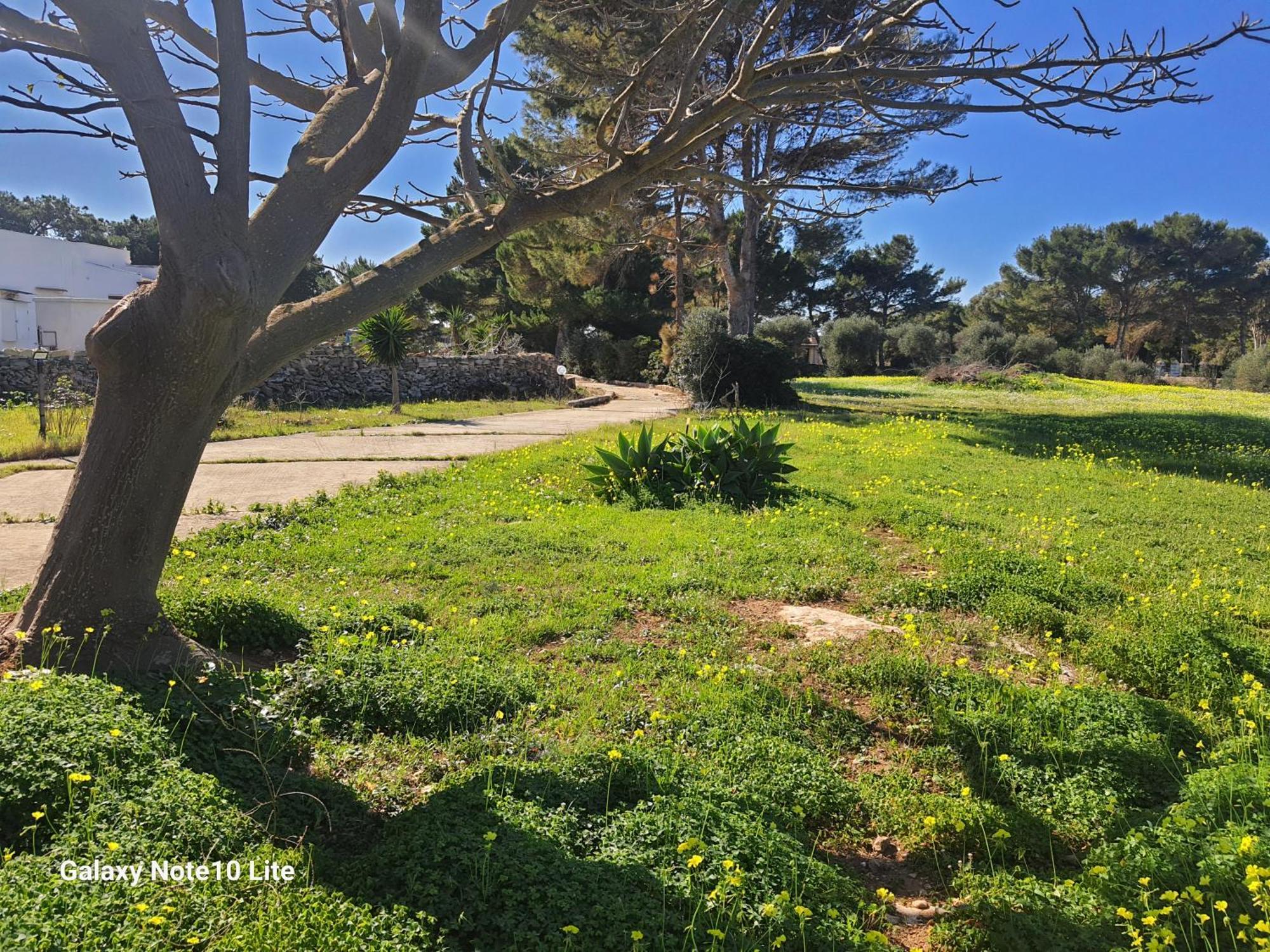 Sogni Nel Blu Favignana Villa Buitenkant foto