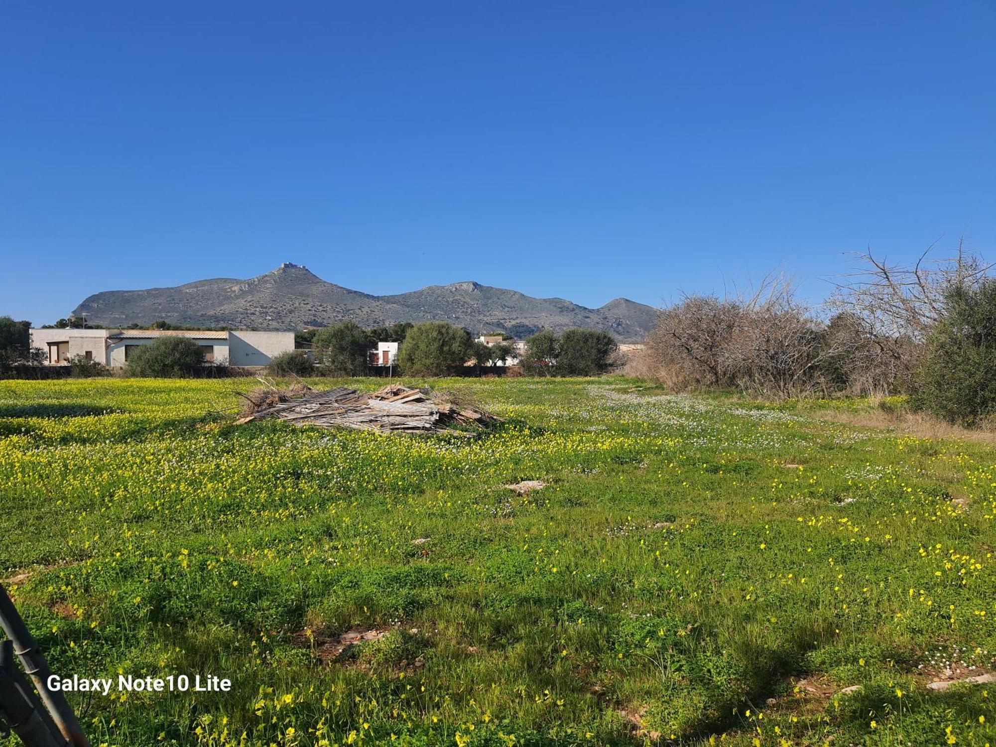 Sogni Nel Blu Favignana Villa Buitenkant foto