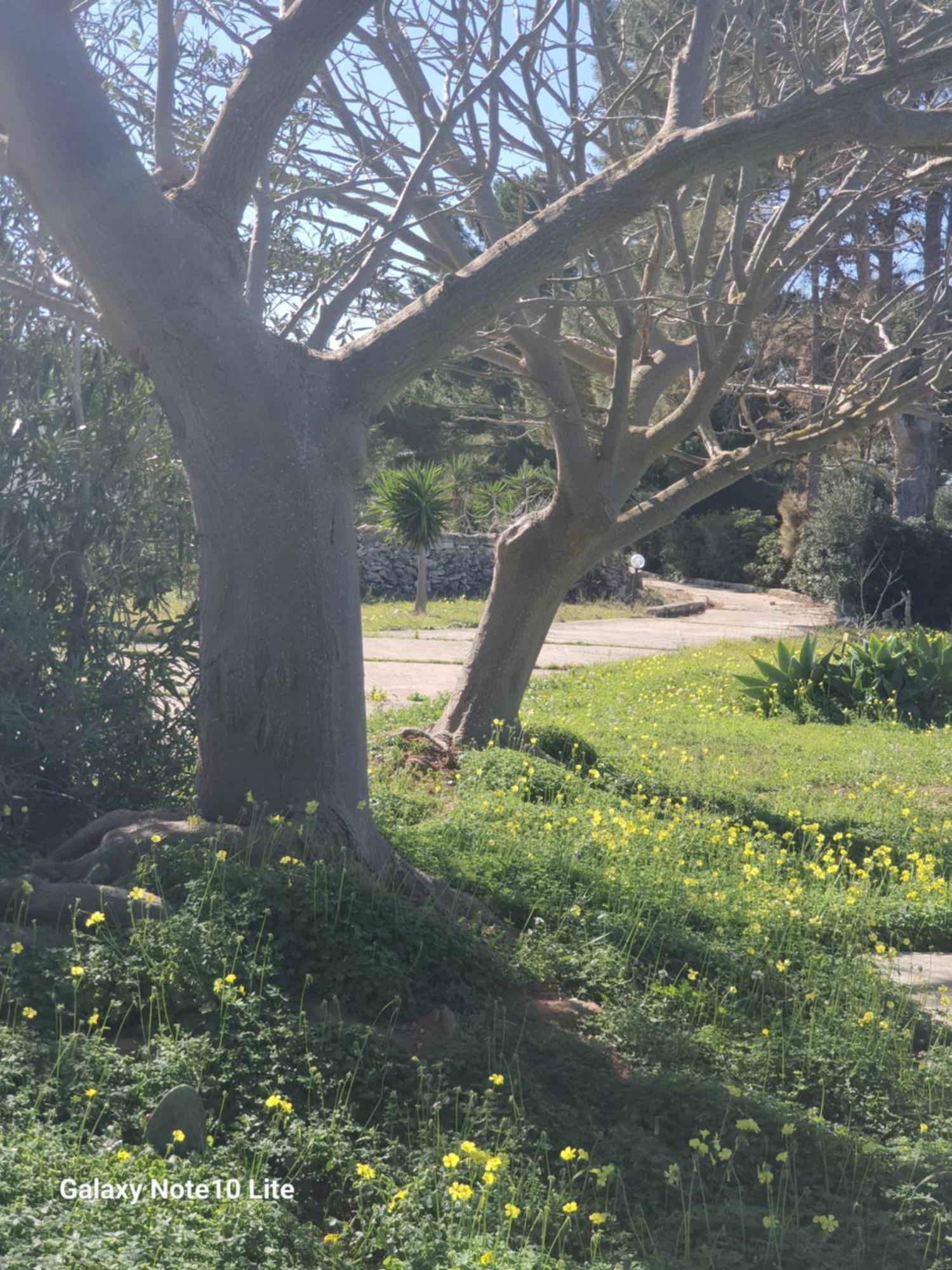 Sogni Nel Blu Favignana Villa Buitenkant foto